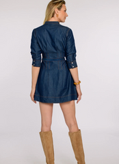 Cameron Dress in Denim