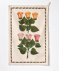 Single Tea Towel- Festival of Flowers
