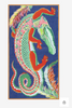 Croco Cotton Scarf
