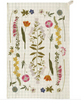 Single Tea Towel- Herbarium