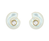 Monomoy Shell Stud