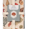 Single Tea Towel- Shells