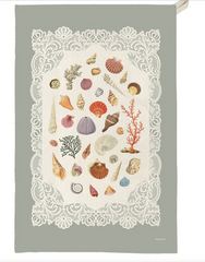 Single Tea Towel- Shells